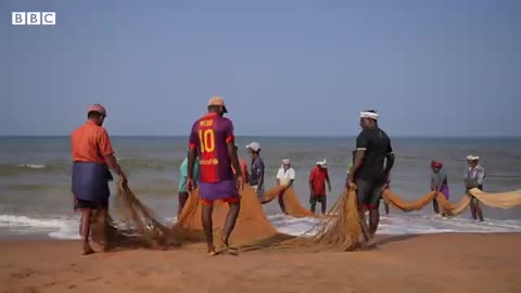 Why India's fishermen 'feel forgotten' during country's election campaign | BBC News