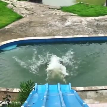 Gr liton best fun TV, Funny Video Clips # - 96