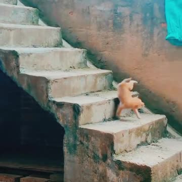 No to bullying. 😼😹