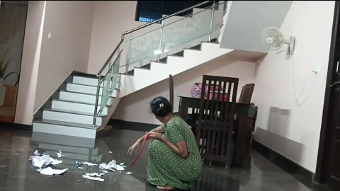 Pet Dog Playing with Woman