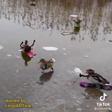 Fly Into Art: Painting Your Favorite Birds