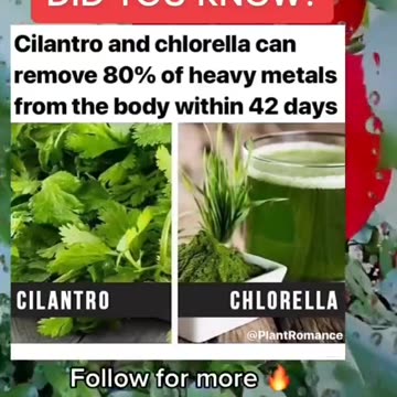 @_plant.power - Cilantro and Chlorella - Health Benefits