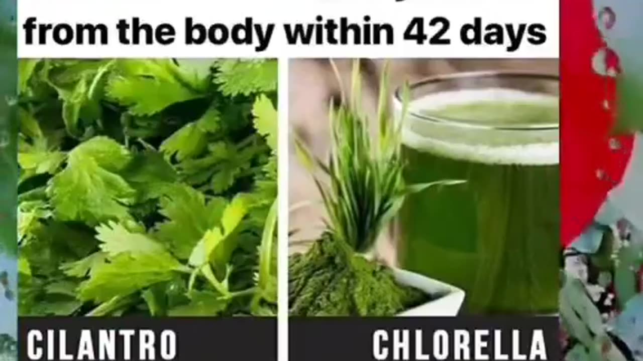 @_plant.power - Cilantro and Chlorella - Health Benefits