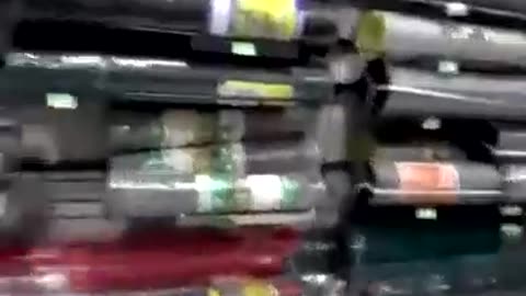 Raccoon Relocated from Store