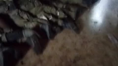 An Entire Russian Unit Surrenders