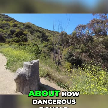 The True Impact of Donald Trump: Who Benefits and Who Suffers?