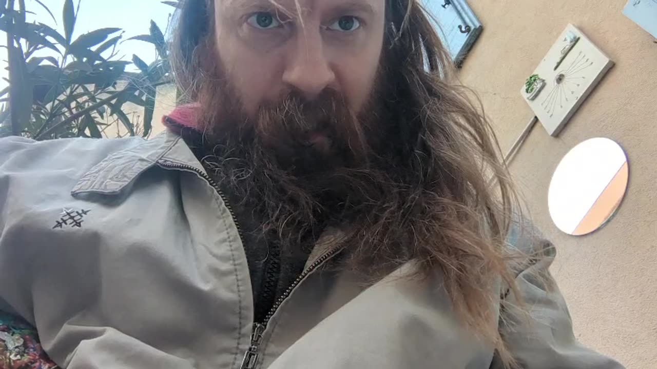 2023-02-04 (1) - La dose Maya - Twitch Meutemediatique