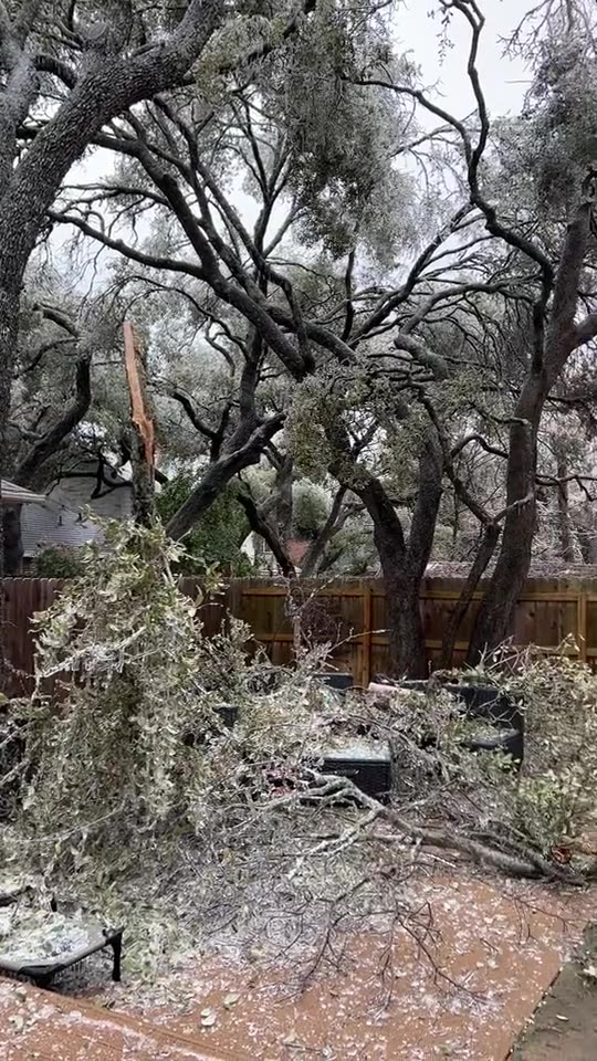 First responders focus on downed power lines and trees as winter storm batters Austin