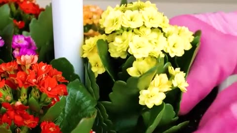 A clever and practical method to streamline your gardening routine