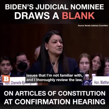 Biden's judicial nominee draws a blank