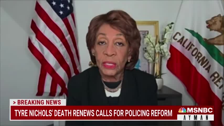 MAD Maxine Waters Says Top Republicans Are Domestic Terrorists