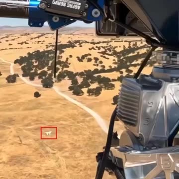 🦅 US presented an aerial interception system for drones "Paladin".