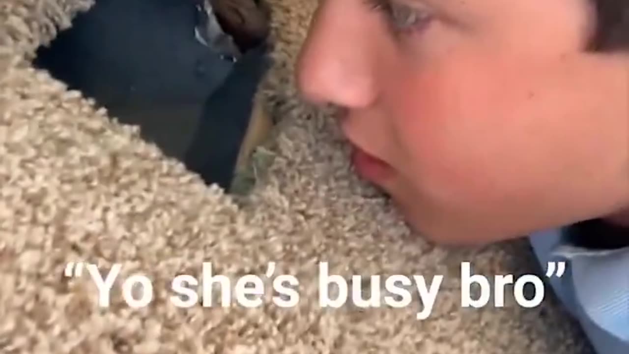 The phone under the door is brilliant LMAO