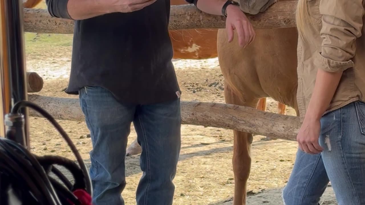 Goofy Horse Photobombs Commercial Filming