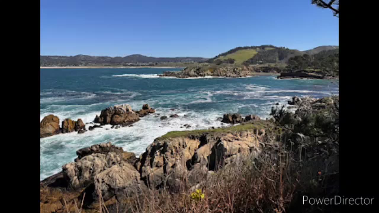 Point lobos state natural reserve