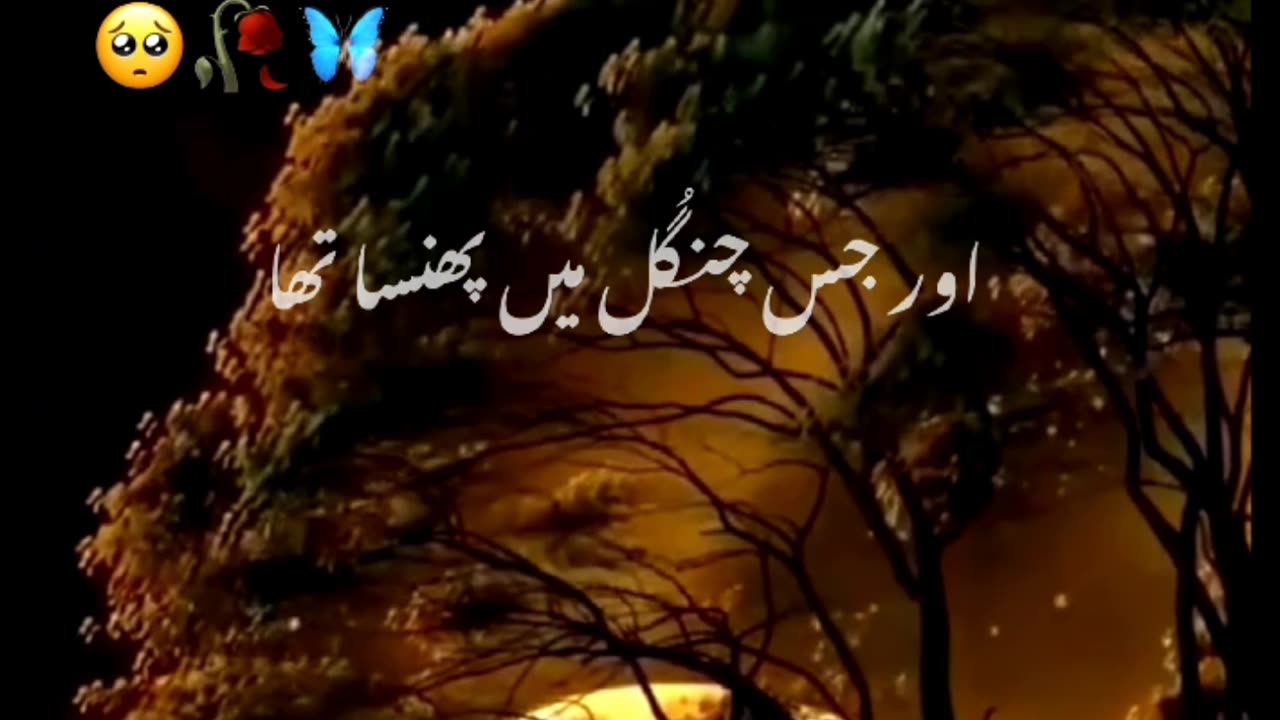 Islamic Video Al Quran Beautiful Voice WhatsApp Status Status Video 🥀