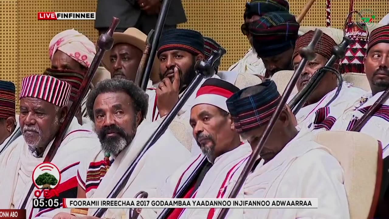 Qophii Addaa ONM-ABO Onkololessa 4-2024 itti dhiyaadhaa!
