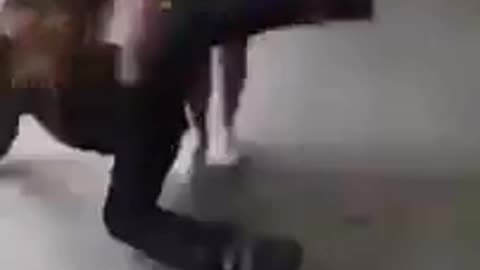 Teen girl knocks out teenage boy with knee to the face