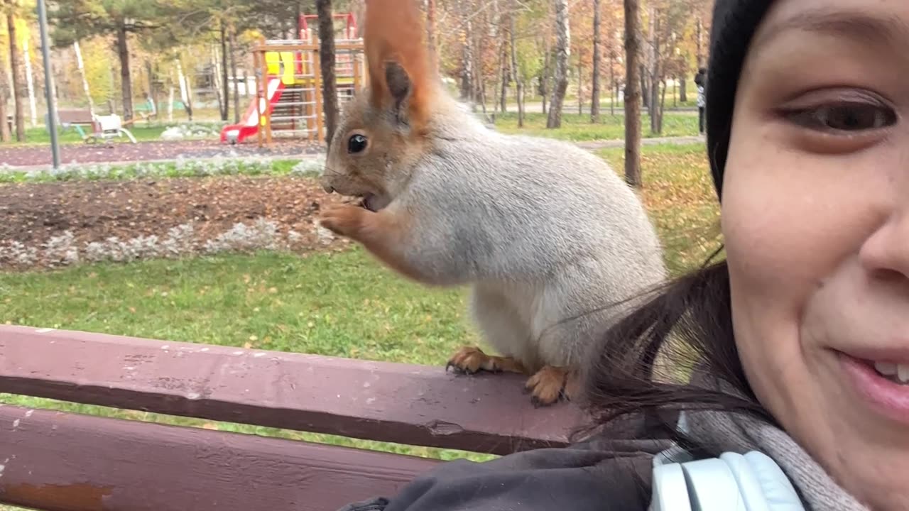 Sharing a Snack With a Friendly Squirrel