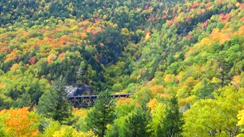 Trestle Bridge