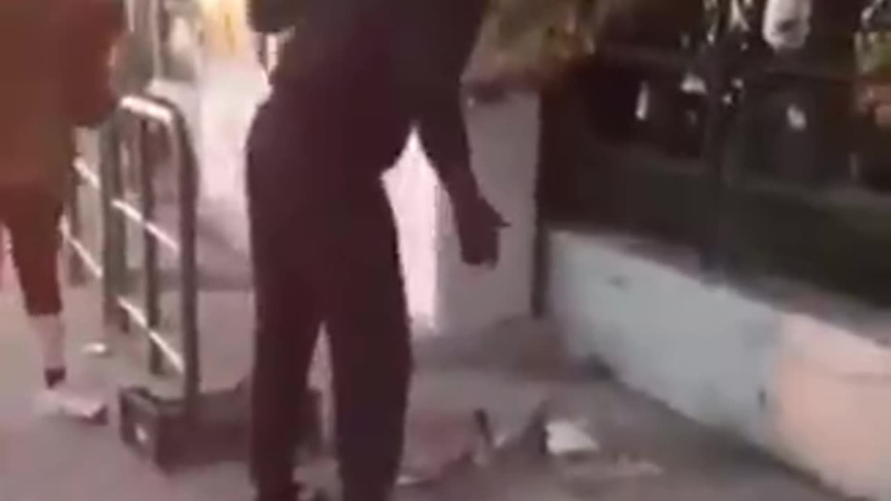 MI6RANT INVASION: JUST ANOTHER ORC INVADER SLAUGHTERING & EATING PET CAT IN ITALY
