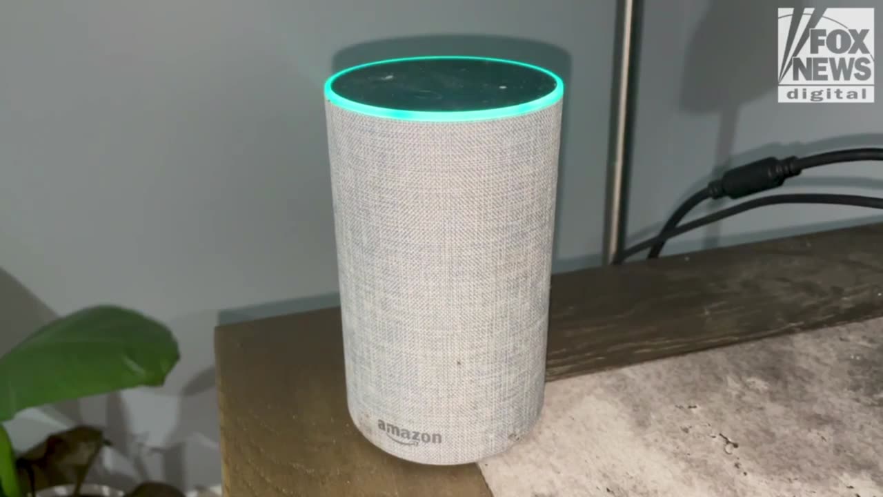 Amazon's Alexa Gives Very Different Response When Asked Why to Vote for Trump Versus Harris