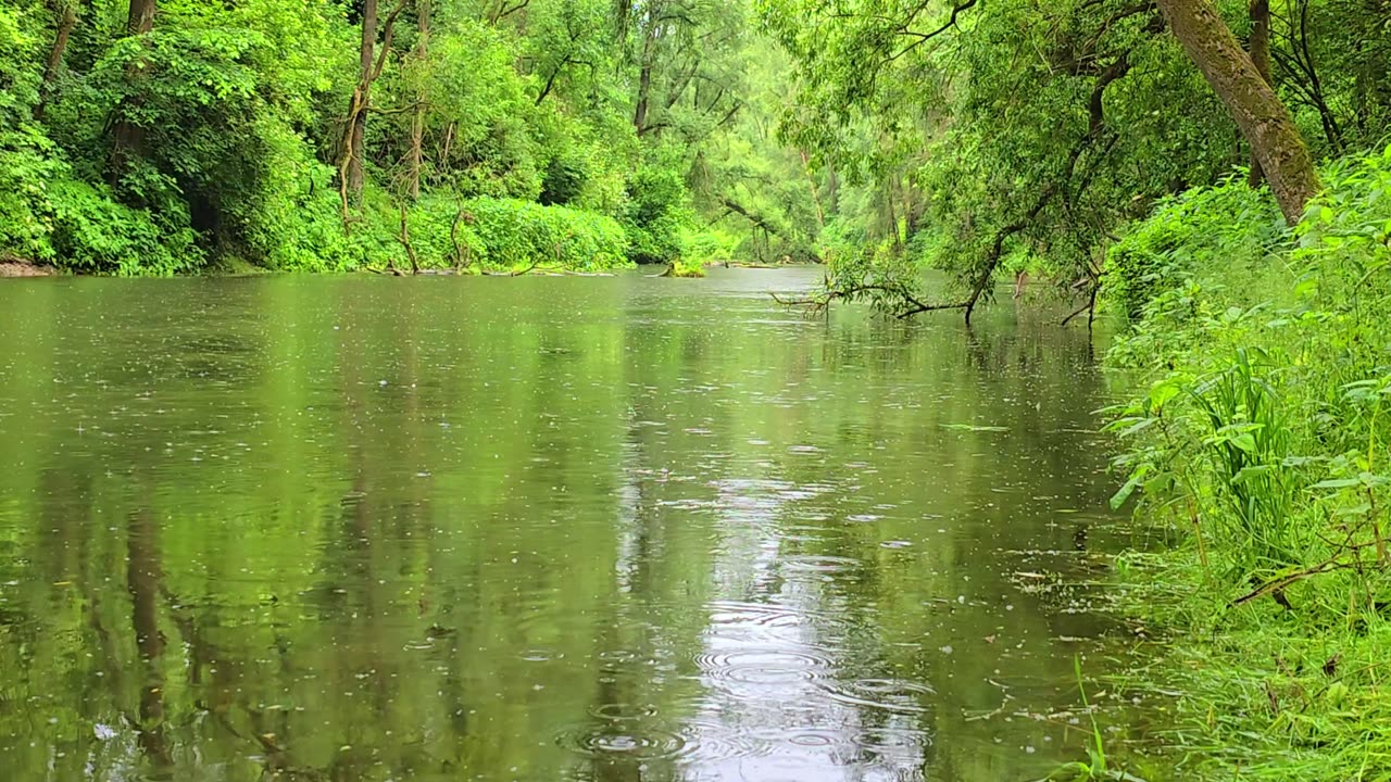 A beautiful idyllic river with fresh water when it rains / beautiful river landscape.