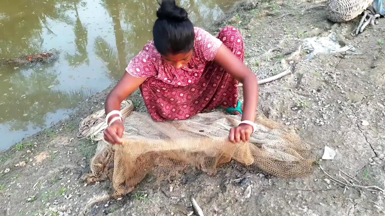 Unbelievable Net Fishing on River by Women | Big Fish Catching by Women use Net