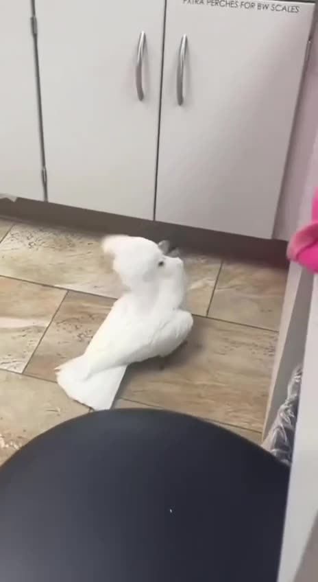 Never a dull moment 🤣