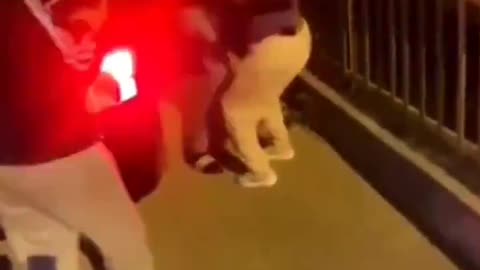 GRAPHIC: Executed In The Streets