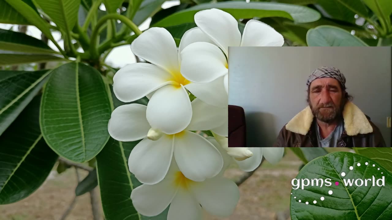 Hello, people of the world