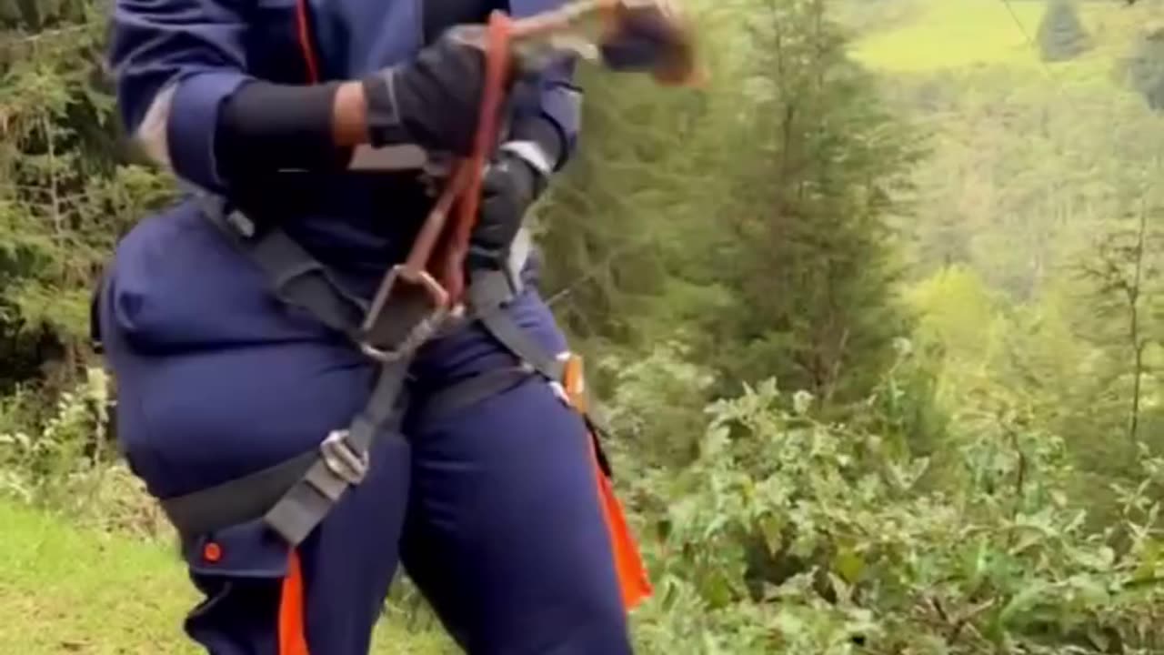 Vera sidika