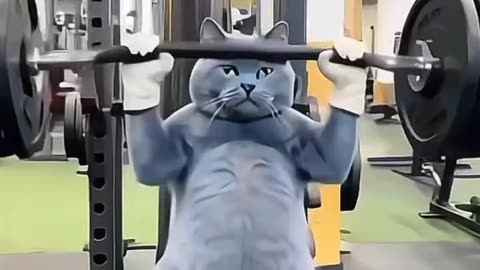 Fitness Time