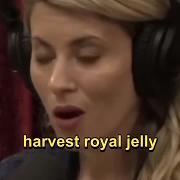 What is Royal Jelly? #bees #ecology #royaljelly