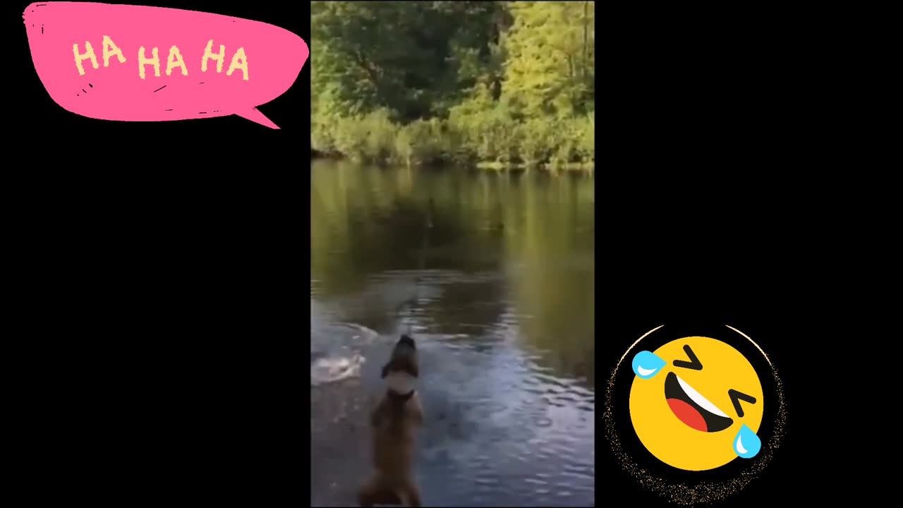 Funny animals video 😀 rumble videos 😂