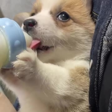 Lovely Kiddo ❤️❤️