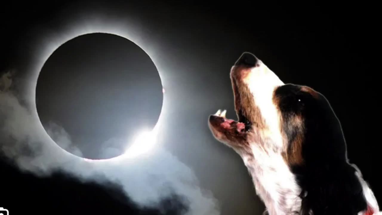 WARNING THIS IS THE ONLY ECLIPSE PEOPLE SHOULD BE TALKING ABOUT