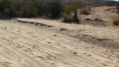 Woman from Iran on southern US border