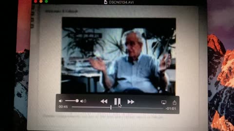 Noam Chomsky: Depleted Uranium bigger story than Wikileaks