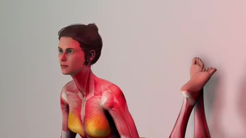 #weightloss #slimdown #excercise #tips #viral #shortvideo #ejercicioencasa #ejerciciosencasa #fyp