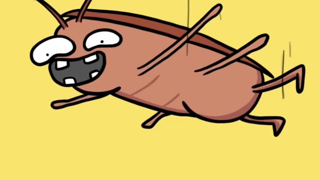 Average life of a cockroach