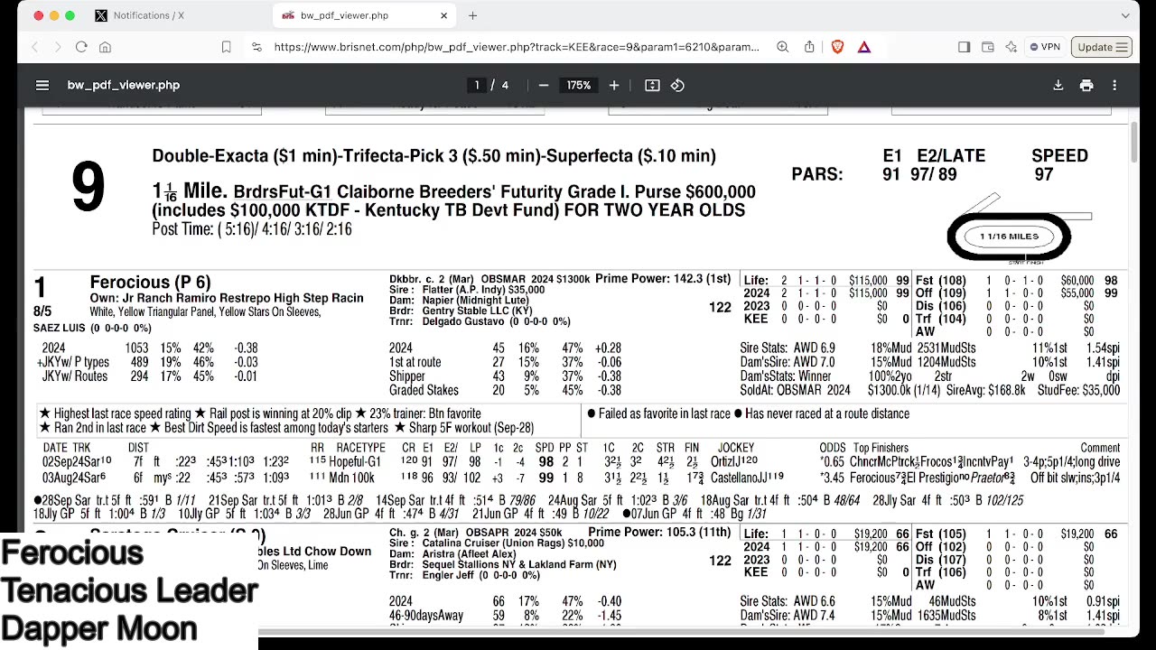 Capping Corner - Breeders' Futurity Stakes 2024 at Keeneland - Kentucky Derby 2025 Points Race