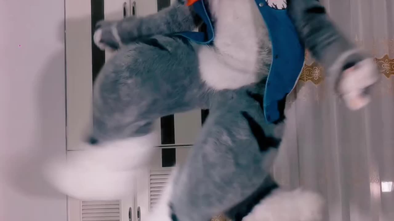 furries video