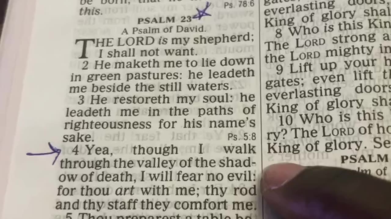 chosen ones daily scripture psalm 23_4 God i will fear no evil, for you are with me!