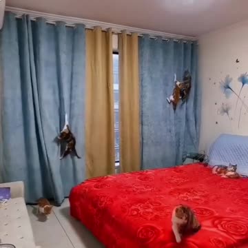 thanks for the new curtains