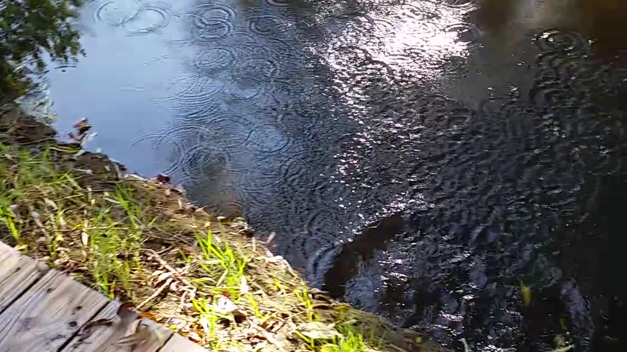 Little Boy Fishing But Doesn't Want to Hold Fish