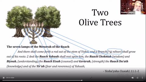 The seven Ruachoth of YAHUAH.DR. STEPHEN PIDGEON