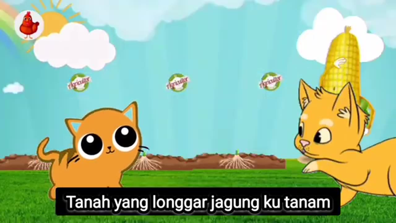 Lagu anak-anak menanam jagung/animasi