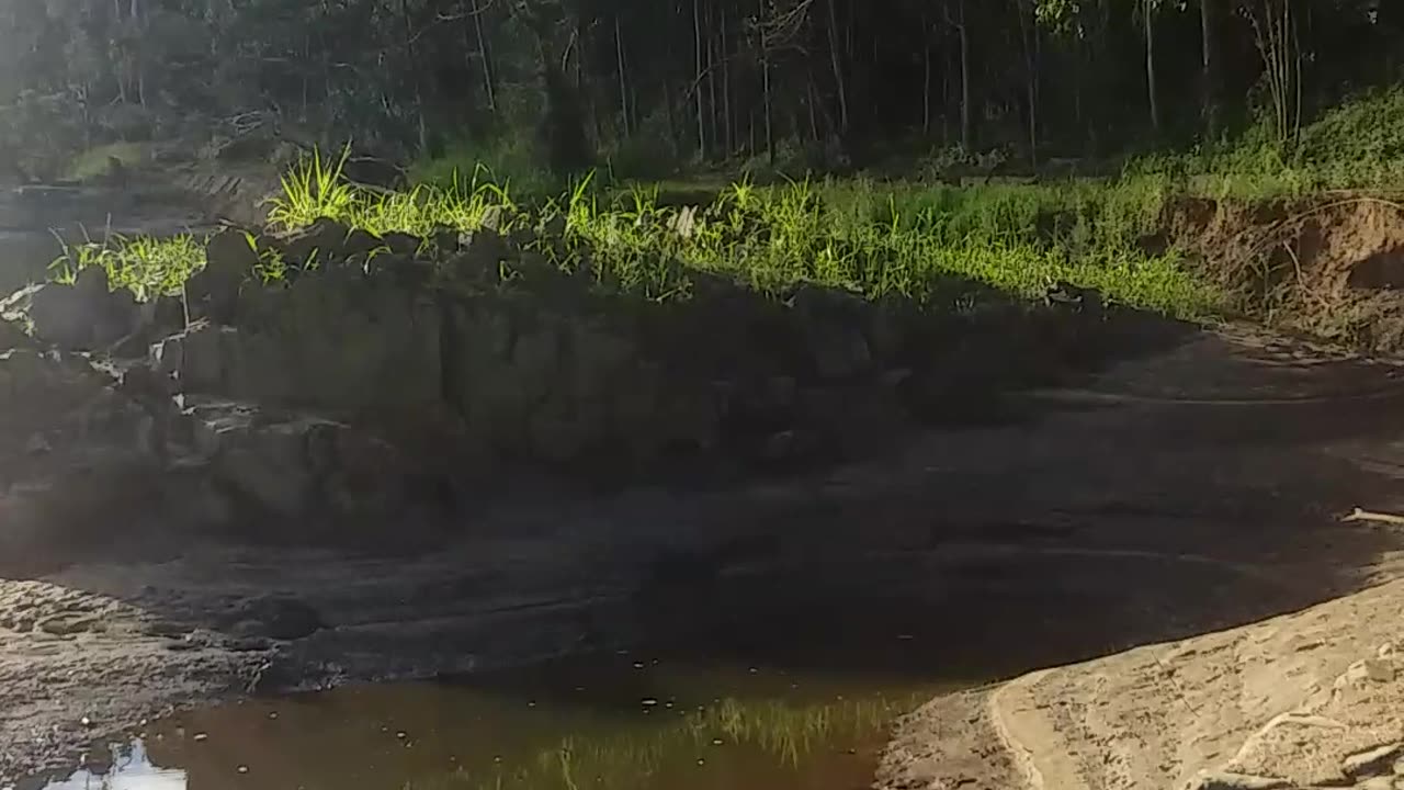 26.4.2024 The Barron River Kuranda