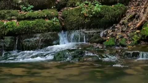 Relaxing Music | Sleeping, Meditation, Stress Relief | [7026] ⭐️